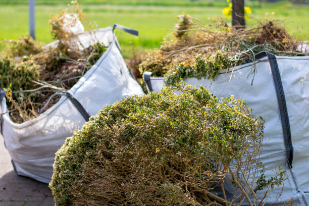 Best Junk Hauling Services  in Sundance, WY